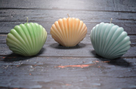 Shell Candle